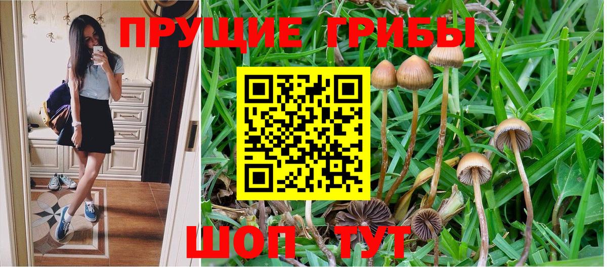 Псилоцибиновые грибы GOLDEN TEACHER  Вход с VPN  Химки  Галлюциногенные грибы прущие грибы 